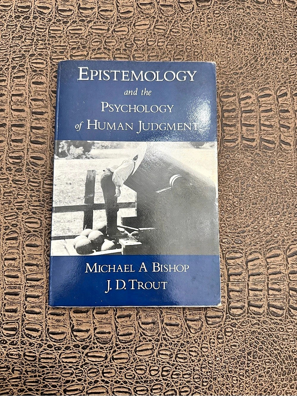 Epistemology and the Psychology of Human Judgment Bishop Trout Philosophy